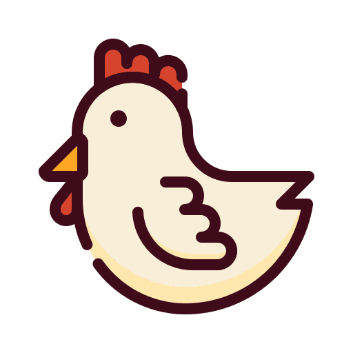 جوجه